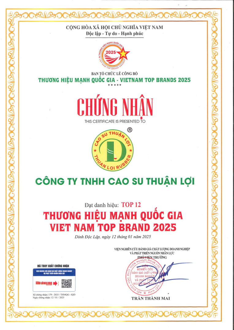 Top 12 Thương hiệu mạnh Quốc gia 2025 (Bằng)